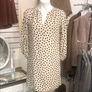 Ann Taylor Black Polka Dot Cream Dress